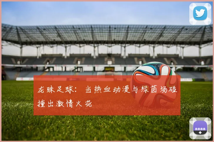 龙珠足球：当热血动漫与绿茵场碰撞出激情火花